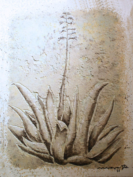 Agave sombras blancas
