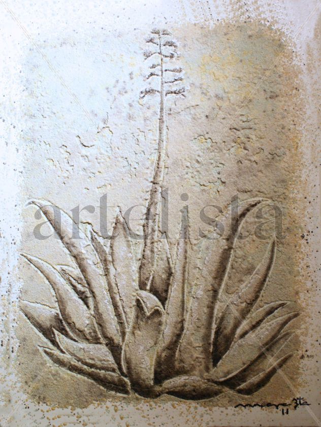 AGAVE SOMBRAS BLANCAS