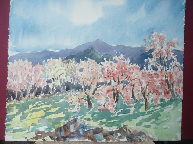 almendros  en flor Acuarela Papel Paisaje