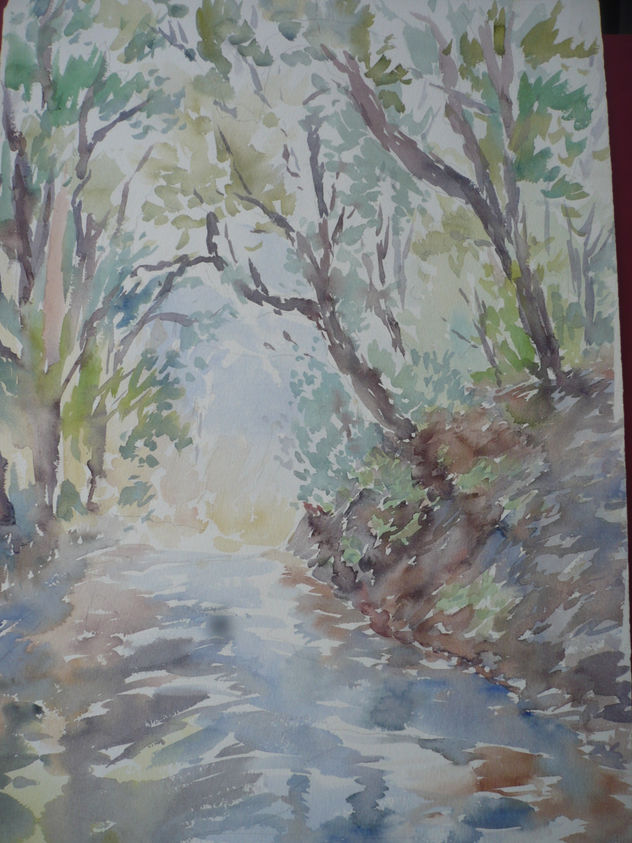 camino  en neblina