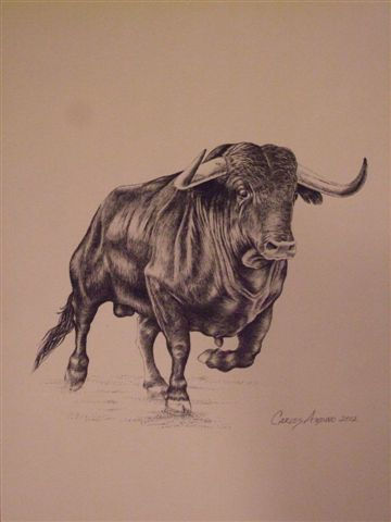 Toro Negro
