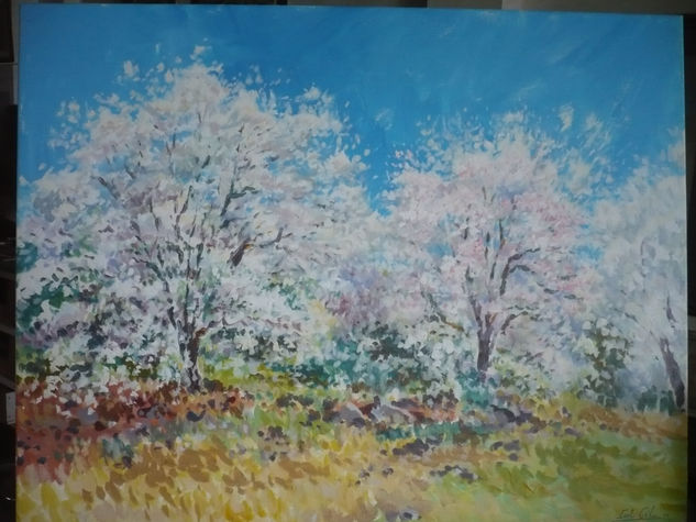 almendros en flor Oil Canvas Landscaping