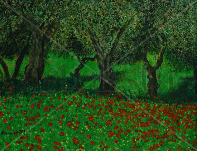 Amapolas y olivos