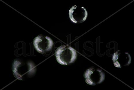 Elements. Agua 2