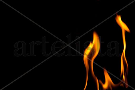 Elements. Fuego4