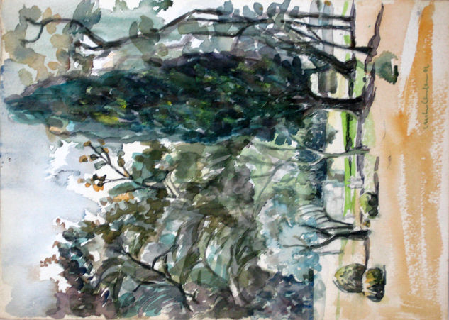 Árbol de plaza Alberdi ocho Watercolour Paper Landscaping