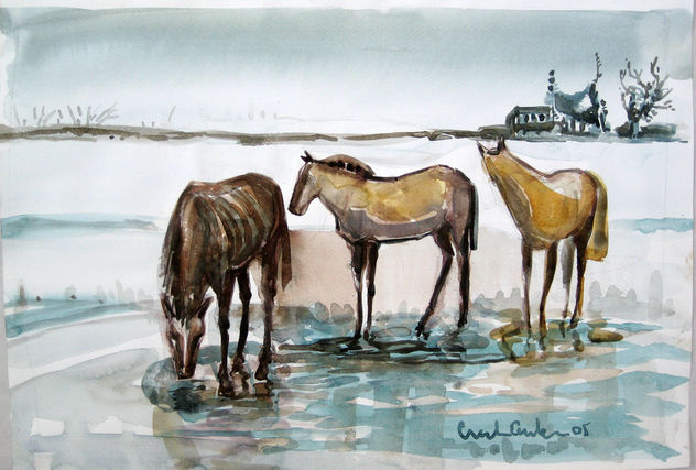 Caballos del río Paraná