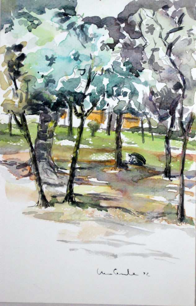 Árboles de Plaza diez