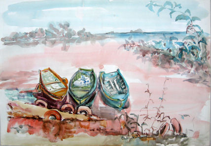 Botes en costa rosa