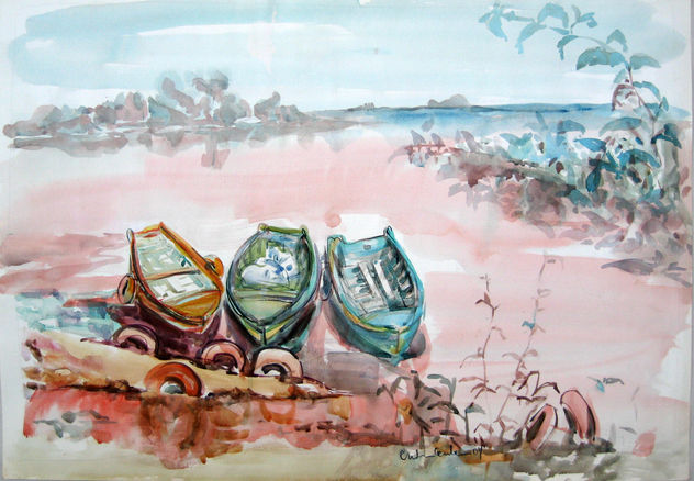 Botes en costa rosa