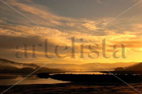 Paisaje 40