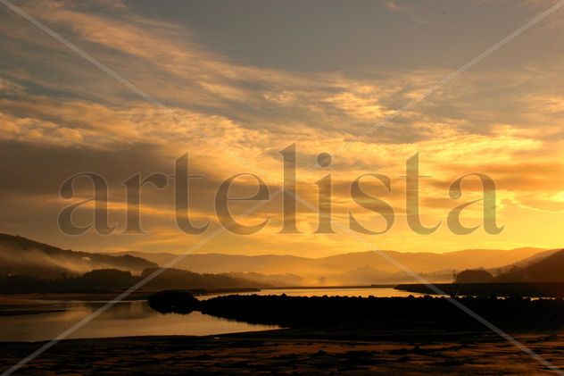 Paisaje 40