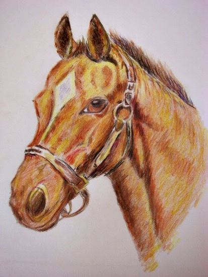 Caballo a lapiz Felt-tip pen Canvas Landscaping