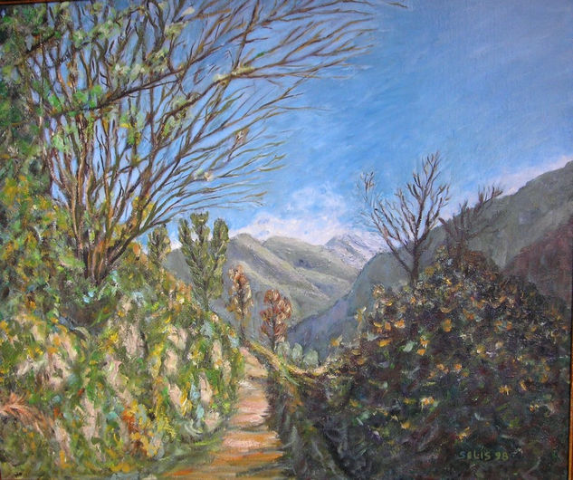 Paisaje de Somiedo 2 Oil Canvas Landscaping