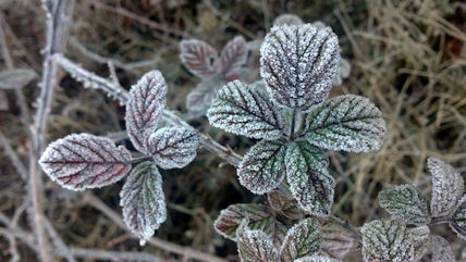 Invierno 1
