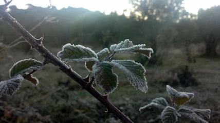 Invierno 2