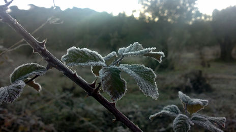 Invierno 2