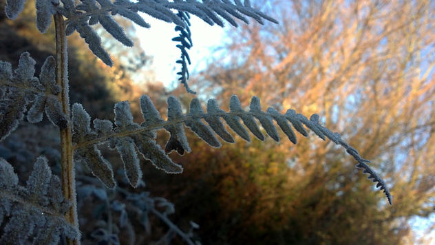 invierno 3