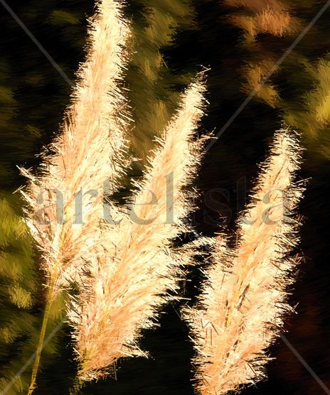 Paisaje 44