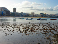 La sombra del mar