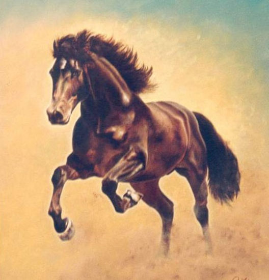 Caballo Arabe Oil Canvas Animals