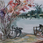 BICICLETAS thumbnail 1