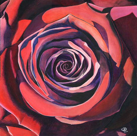 Rosa