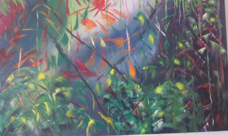 DE LA SERIE NATURALEZA
