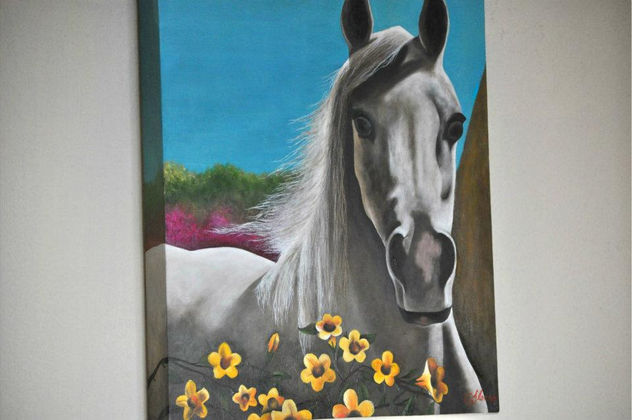 caballo