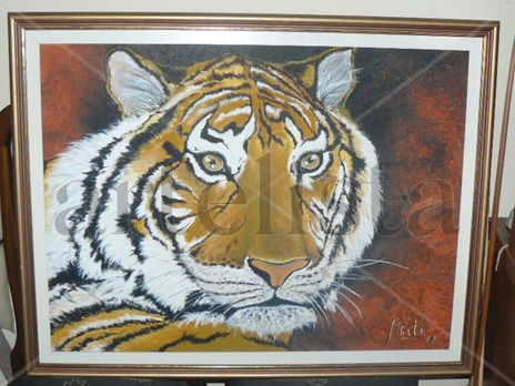 Mirada De Tigre