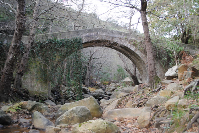 puente romano Naturaleza Color (Digital)