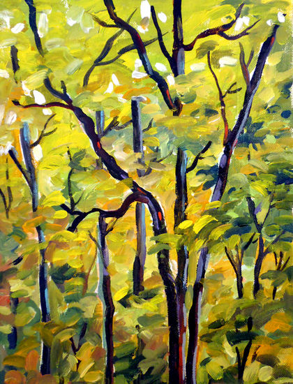 Forest Beauty Oil Canvas Others