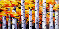 Beauty of Season Forest II