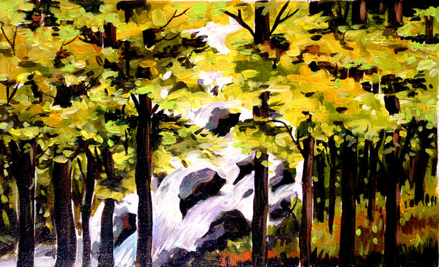 Inside a Forest Acrylic Canvas Landscaping