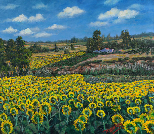 Girasoles Óleo Lienzo Paisaje