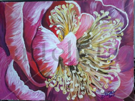 Flor de Annais