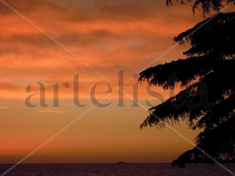 Atardecer al lado...