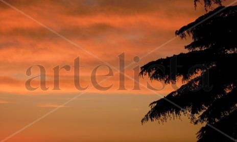 Atardeceres