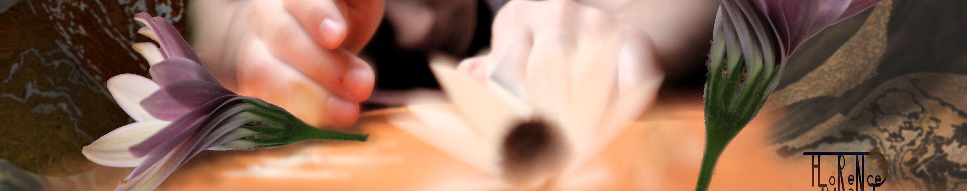 Imagen de portada