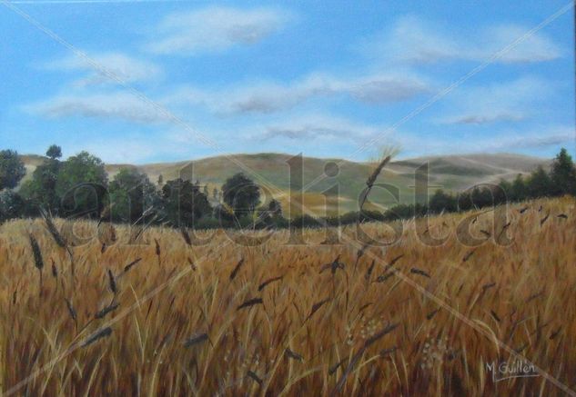 Campos de Castilla Oil Canvas Landscaping