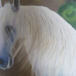 ANIMALES thumbnail 2