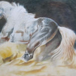 ANIMALES thumbnail 1