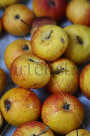 Old Apples Still lifes Color (Digital)