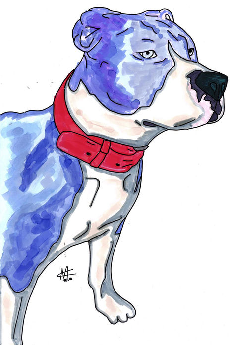 El perro azul