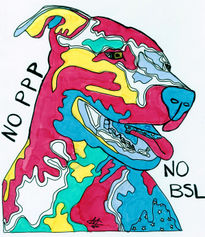 No BSL  No PPP