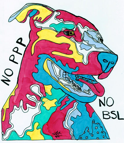 No BSL  No PPP