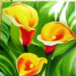 Flores thumbnail 1
