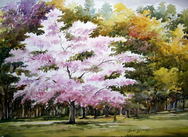 Beauty of Season Flowers Tree Acuarela Papel Paisaje