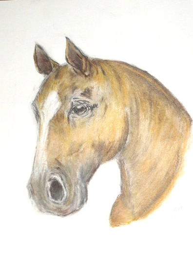 "Lucero" Pastel Paper Animals