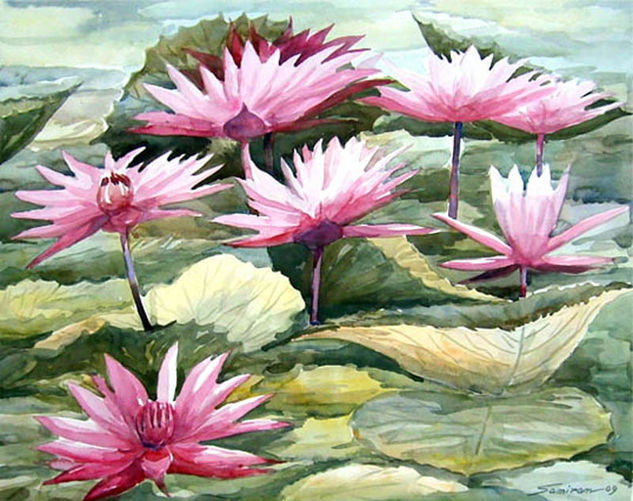 Beauty of Water Lilies Watercolour Paper Floral Painting